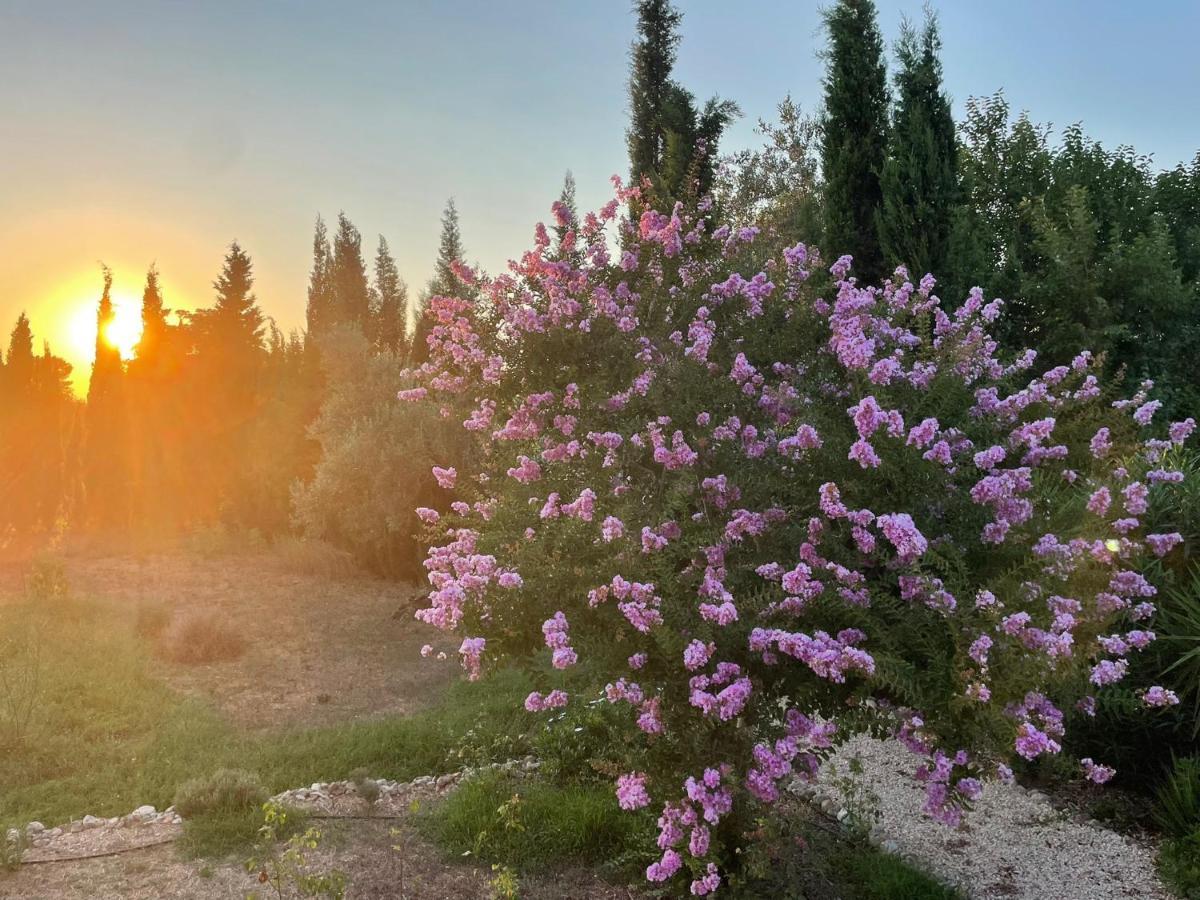 Villa Isabelle Barraca de Aguas Vivas ภายนอก รูปภาพ